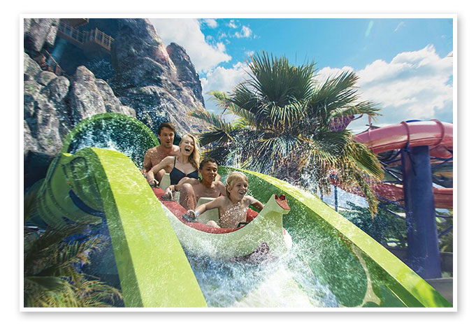 Family on a waterslide