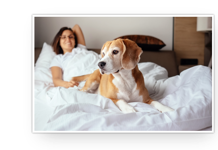 Woman laying in bed smiling at her dog. 