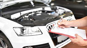 a car driving on a green forest road