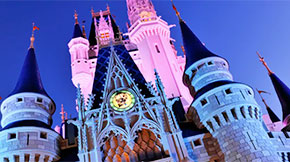 Walt Disney World